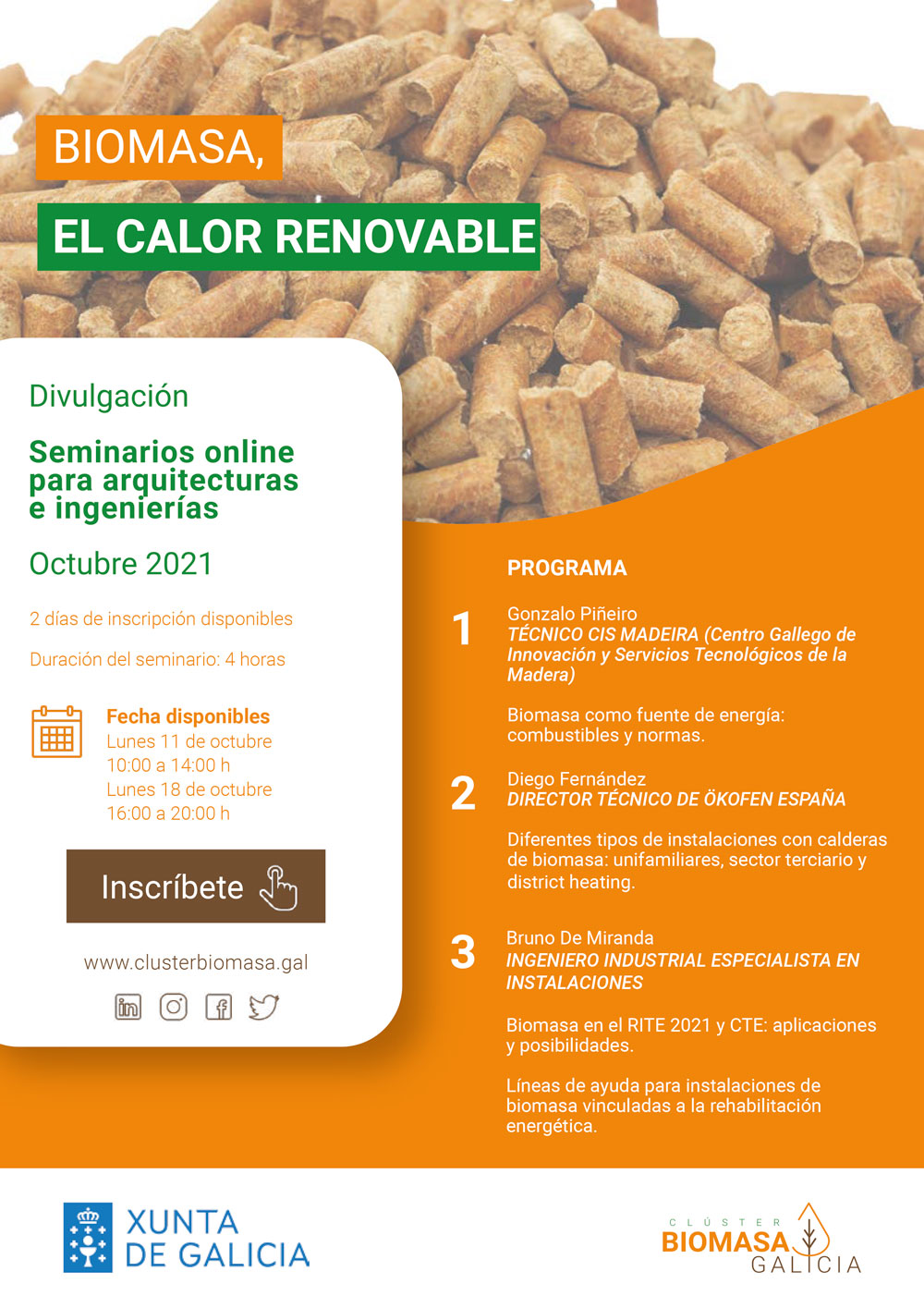 webinars calderas de biomasa